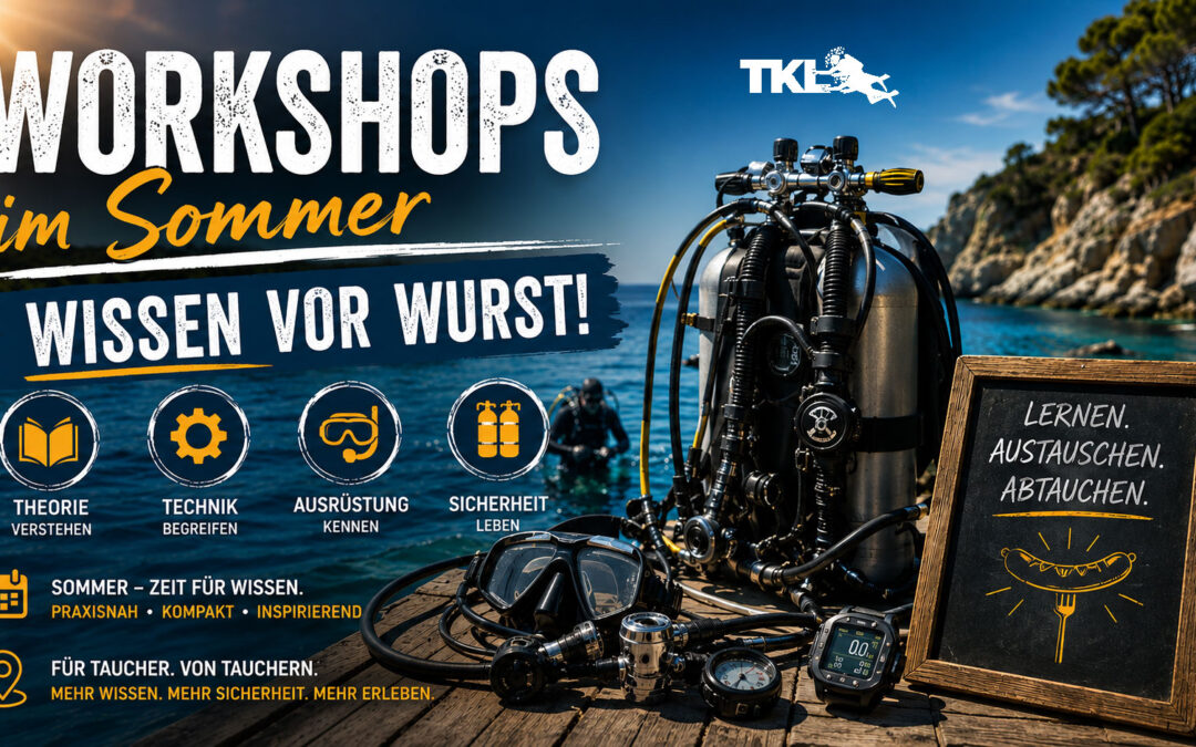 🌞 Workshops im Sommer 2026 – Wissen vor Wurst! 🌭🤿
