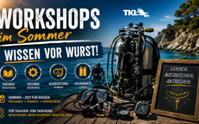 🌞 Workshops im Sommer 2026 – Wissen vor Wurst! 🌭🤿