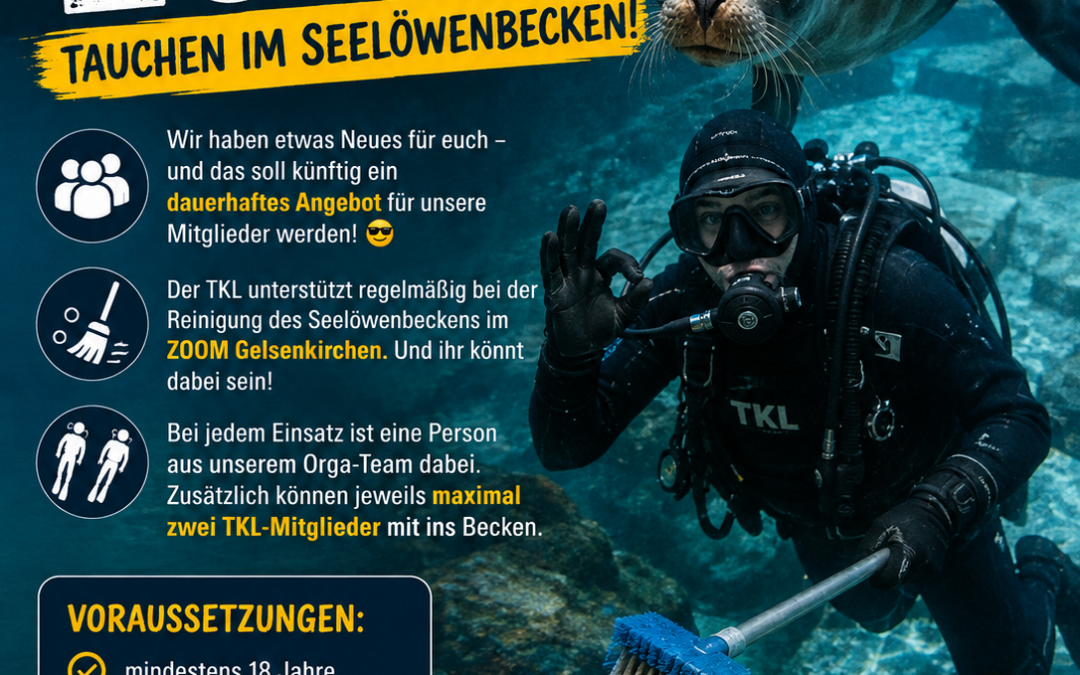 🦭🤿 TKL goes ZOOM – Tauchen im Seelöwenbecken! 🤿🦭